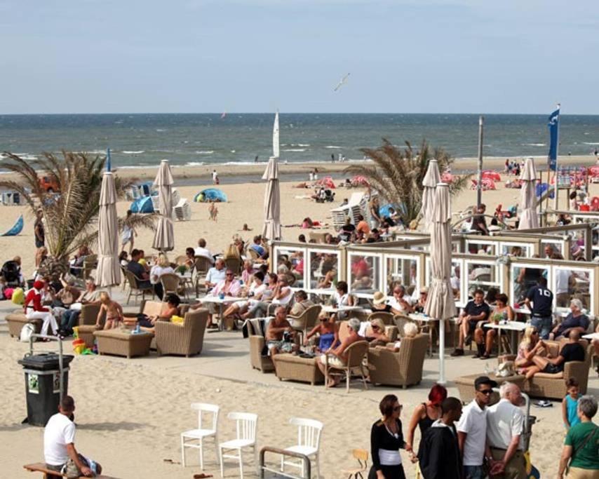 Stella Maris Dune Apartment Zandvoort Bagian luar foto